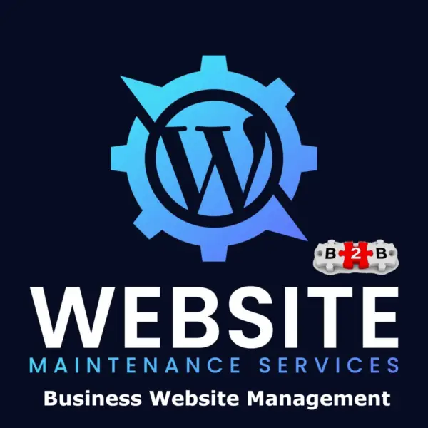 Product illustration - business website management services & support