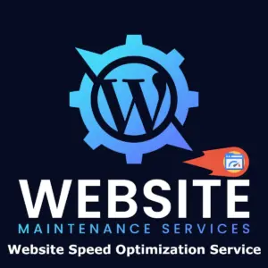 Product Illustration - website speed optimization service